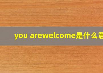 you arewelcome是什么意思